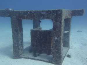 plongée à Artificial Reef
