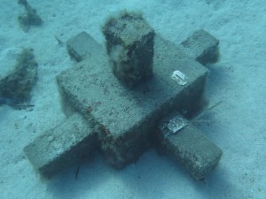 Artificial Reef - Structures