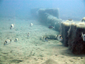 inmersión en Balito Deep