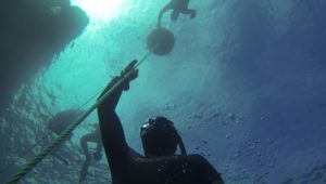 Freediving Introduction