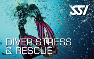 certification SSI Diver Stress and Rescu