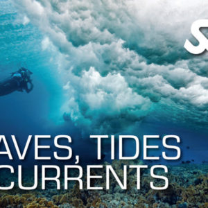 Waves Tides & Currents