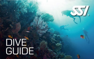 Dive Guide