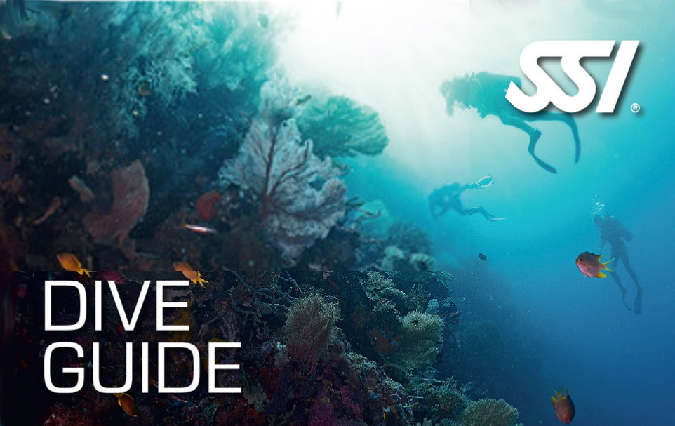 SSI Dive Guide-Ausbildung=
